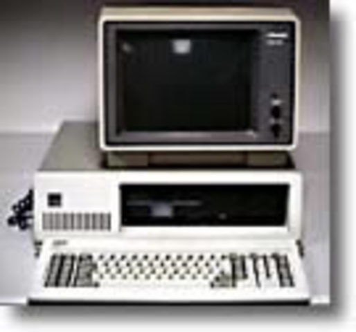 IBM computer and microsoft software