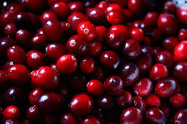 Cranberries first cultivated in the state