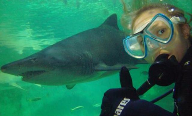 Cuando nadé con tiburones