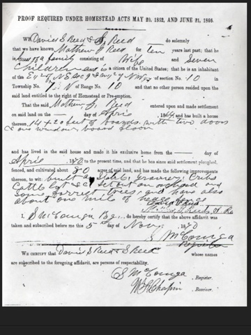 Woman's rights legislation