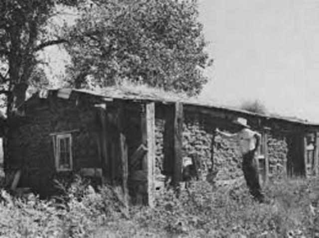 American Forestry Association Founded