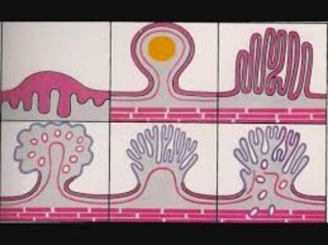 se sentaron las bases de un nuevo formato de notificación