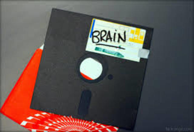 Nace el primer virus sibernetico