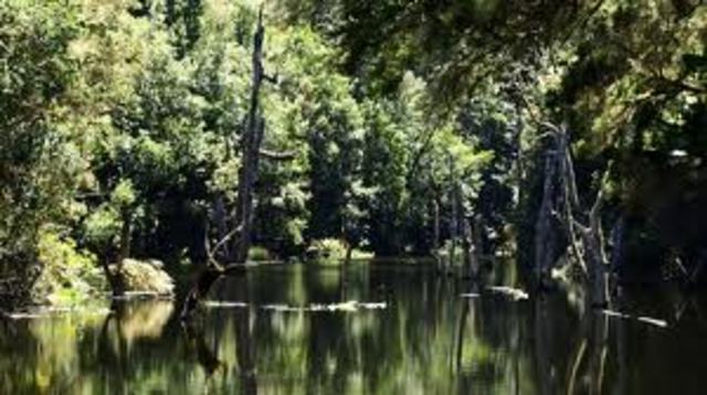 Actualizacion de un proyecto tradicional