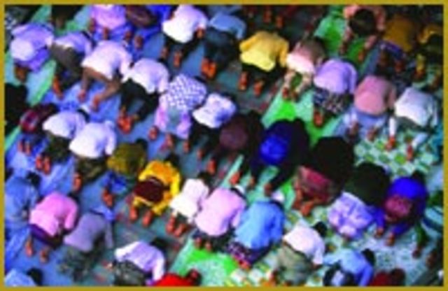 Doctrina, y los 5 piladores