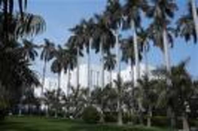 muslim League was founded