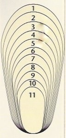 Standardization of Sizes