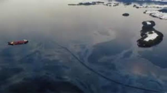 The Exxon Valdez Oil Spill