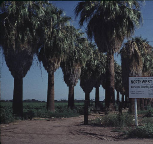Glendale Community College