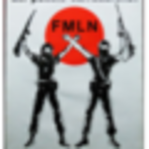 Frente Farabundo Martí para la Liberación Nacional (FMLN).