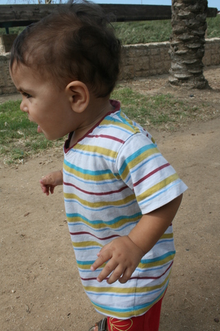 תאריך הלידה של אחי