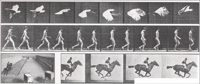 Dumont y estereoscópio