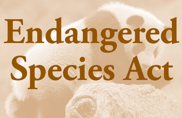 Endangered Species Act
