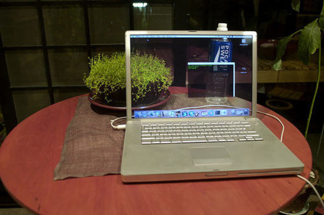 SIGUEN EVOLUCIONANDO