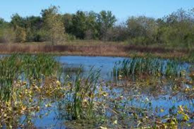 The National Environmental Polciy Act