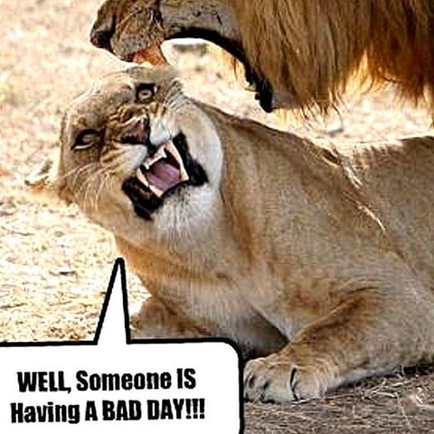 Middle School Wrestling