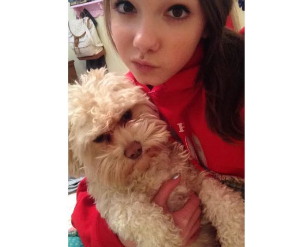 I got my second dog!