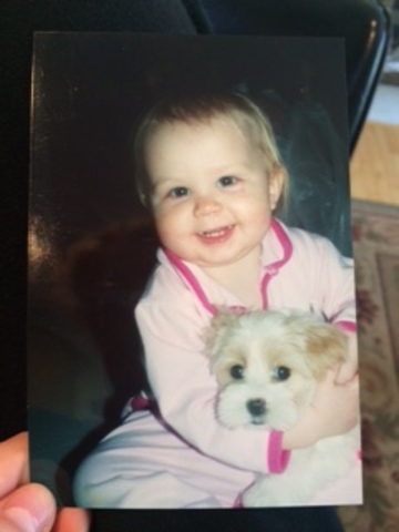 The Day We Got Our Dog Daisy