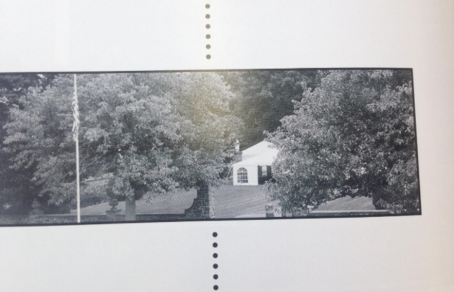 Looking into Senior Garden