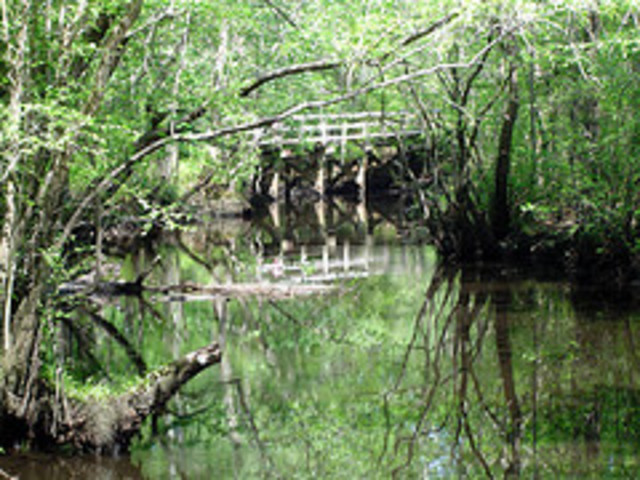 Battle of Moore's Creek Bridge