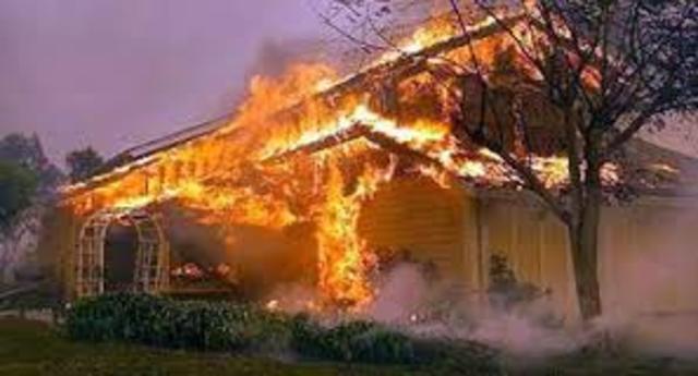 tree falls over and lights the house on fire