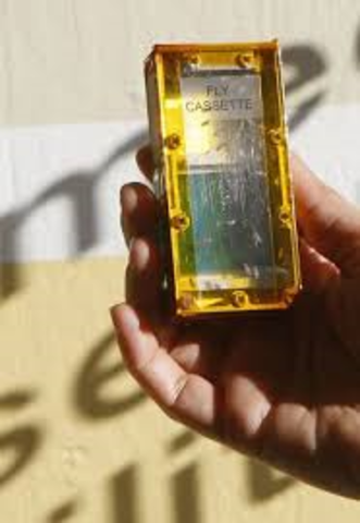 First Animals in Space