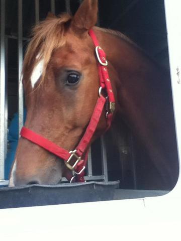 The day Eddy was given to me