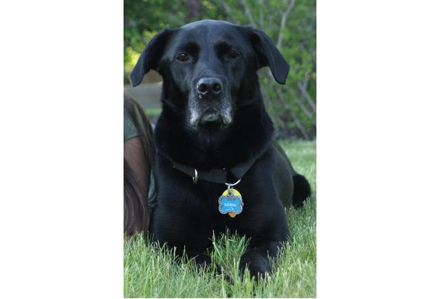 we finaly adopt Katrina