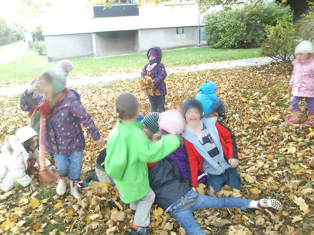 ΦΘΙΝΟΠΩΡΙΝΟΣ ΠΕΡΙΠΑΤΟΣ ΣΤΟ ΠΑΡΚΟ ΤΗΣ ΓΕΙΤΟΝΙΑΣ