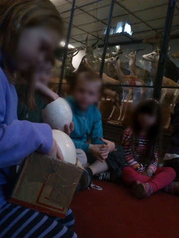 ΕΠΙΣΚΕΨΗ ΣΤΟ ΜΟΥΣΕΙΟ ΦΥΣΙΚΗΣ ΙΣΤΟΡΙΑΣ ΚΑΙ ΠΕΙΡΑΜΑΤΙΣΜΟΣ ΜΕ ΑΛΗΘΙΝΑ ΑΥΓΑ