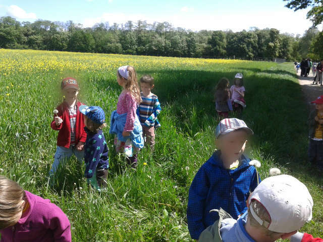 ΕΚΔΡΟΜΗ ΣΤΟ ΔΑΣΟΣ ΤΗΝ ΑΝΟΙΞΗ