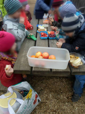 ΠΡΩΙΝΟ ΓΕΥΜΑ ΣΤΟ ΔΑΣΟΣ