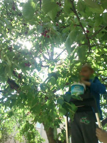 ΤΑ ΠΑΙΔΙΑ ΦΡΟΝΤΙΖΟΥΝ ΤΑ ΙΔΙΑ ΓΙΑ ΤΟ ΠΡΩΙΝΟ ΤΟΥΣ