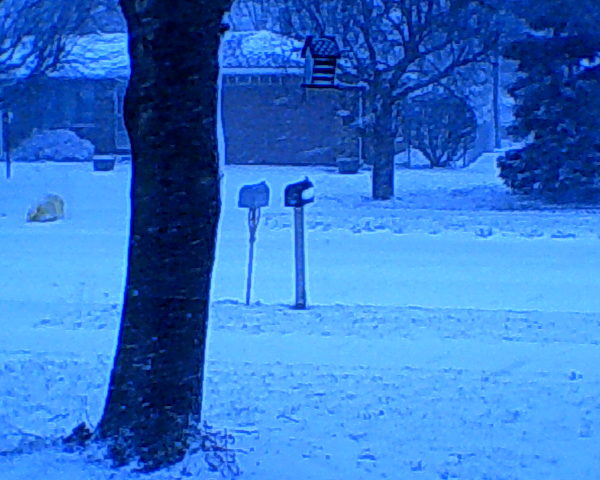 My Thirteenth Birthday