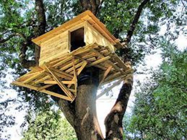 Tree House