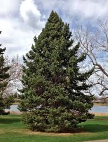 The 2nd Worst Day Of My Life