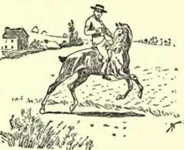 Written Communication