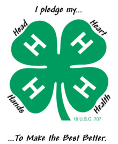 (con.) Second year in 4-H