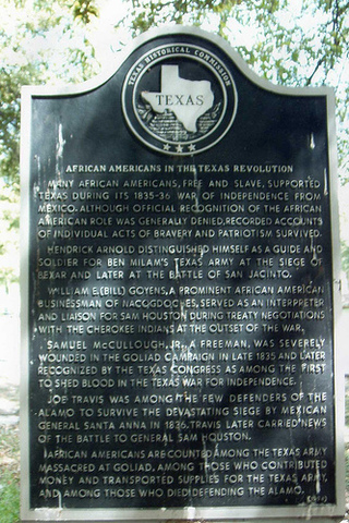the Goliad campain
