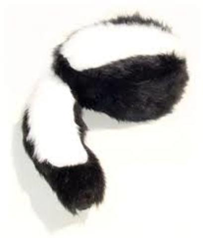 My Skunk Hat