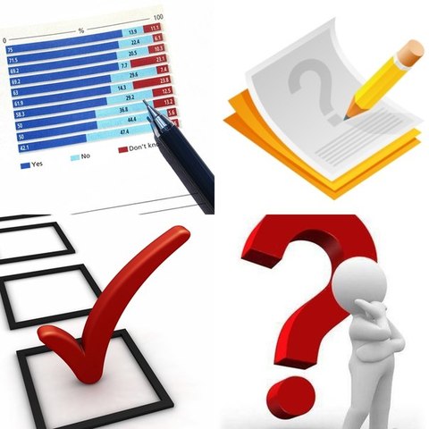 Социологический опрос: «Выявление степени популярности информационных технологий в молодежной среде. Определение адекватности восприятия ценностей, передаваемых посредством ИТ»