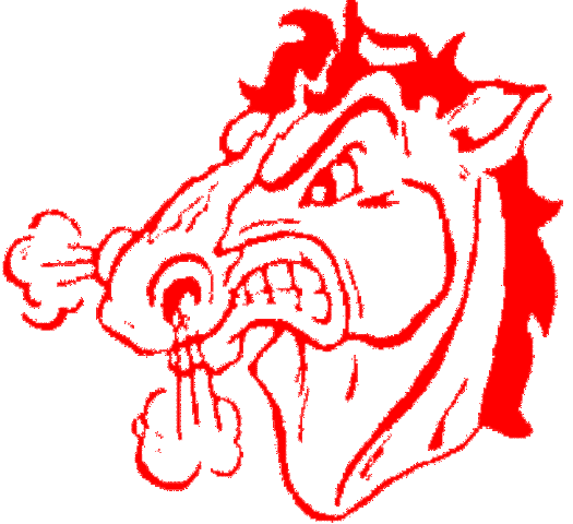 I started soccer at Holly