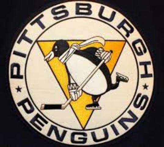 Pittsburgh Gets a Team