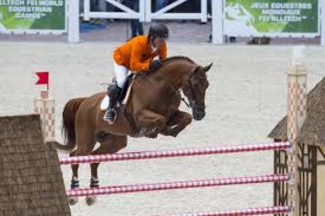 Team Gold medalist at World Equestrian Games with Glock's London.