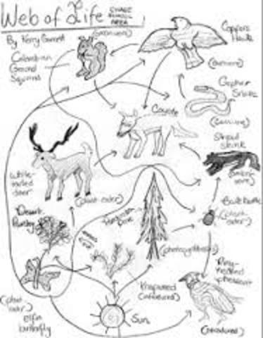 First Day Of 8th Grade