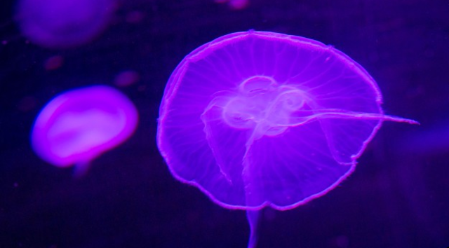 When  I went to North Carolina