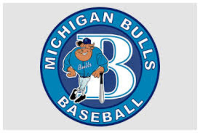 Michigan Bulls Baseball
