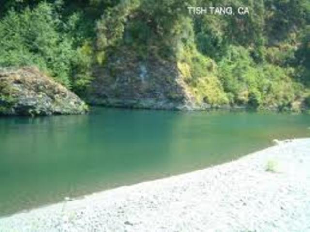 Grass is stroger then you think