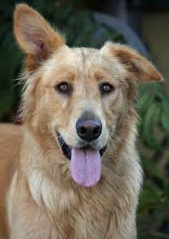 A Big Responsiblity!