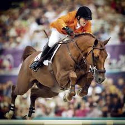 Dutch rider of the year.